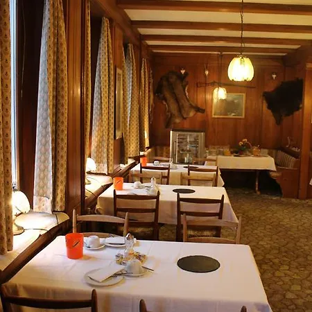 Hotel Adler Central 2*