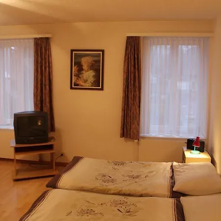 Hotel Adler Central