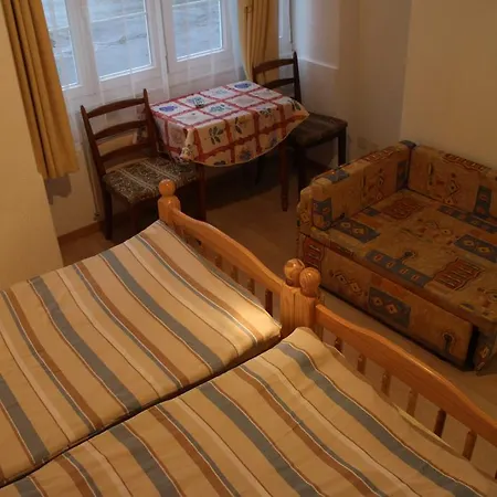 Hotel Adler Central 2*