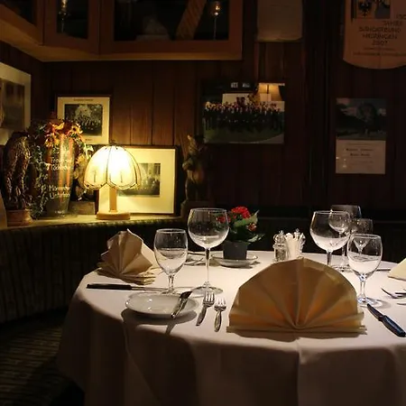 Adler Central Hotel Meiringen