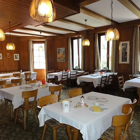 Hotel Adler Central