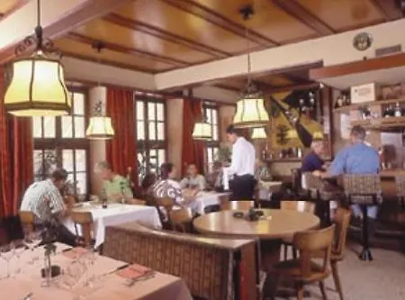 Adler Central Hotel Meiringen