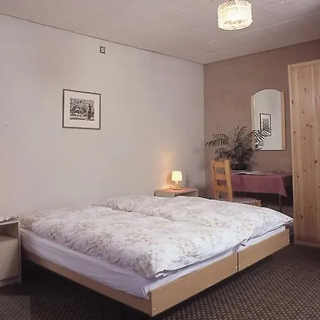 Hotel Adler Central Meiringen